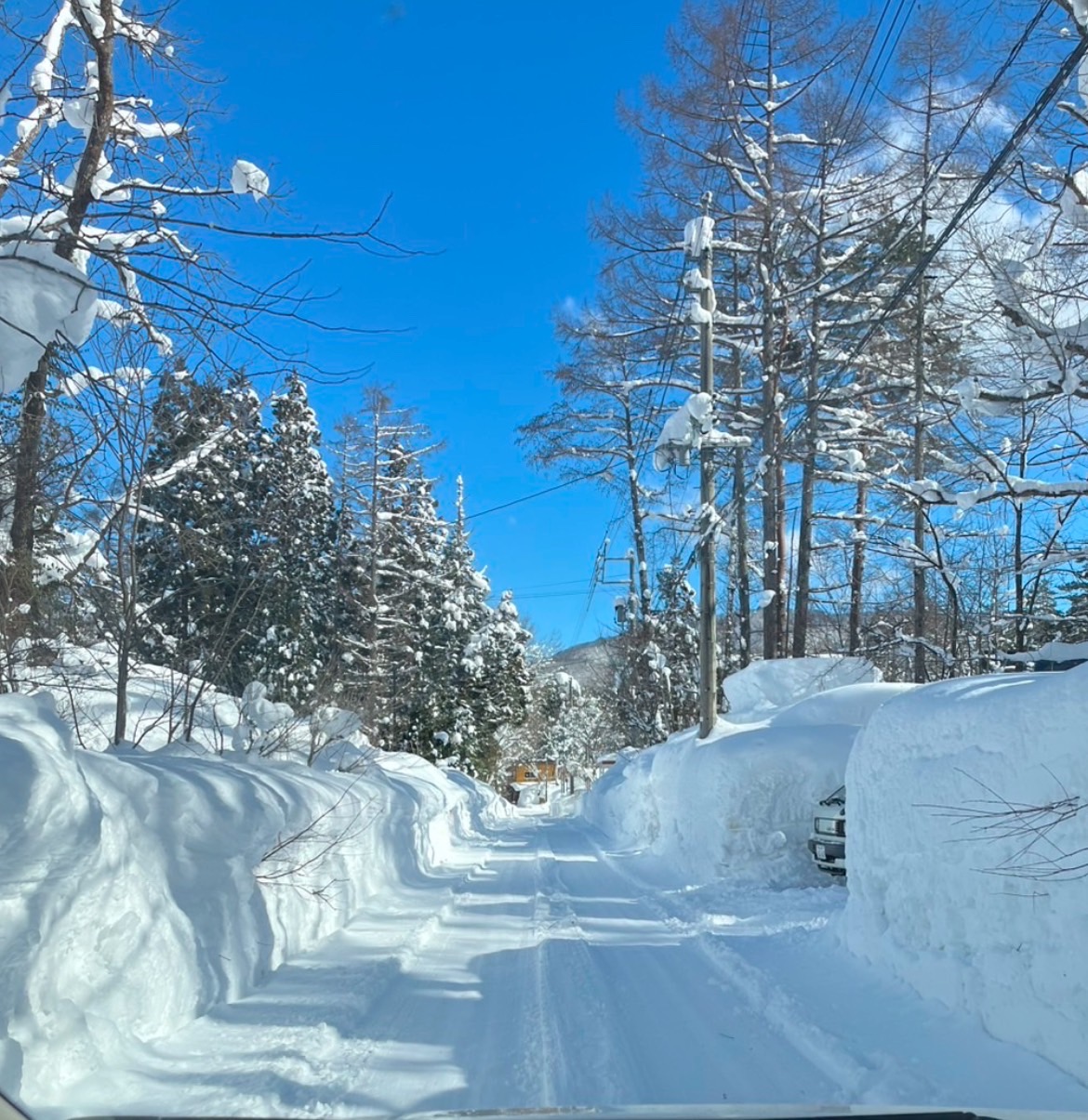 2025年2月の白馬村は数十年ぶりの大雪です