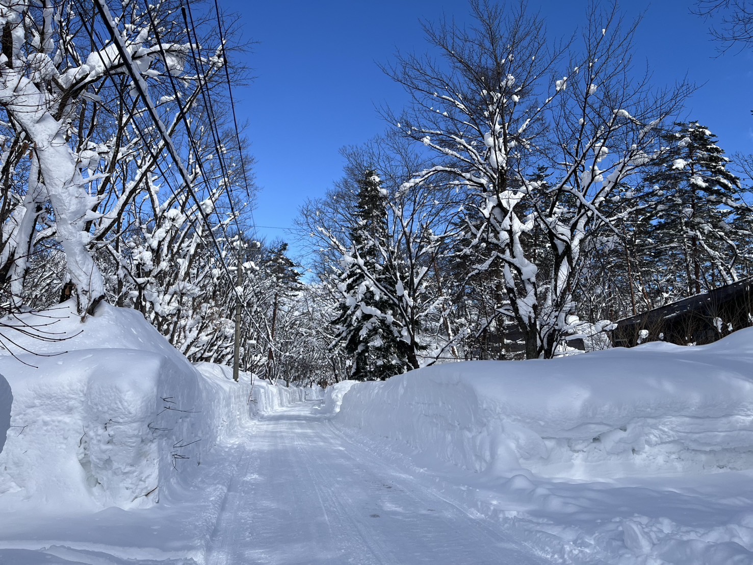 2025年2月の白馬村は数十年ぶりの大雪です